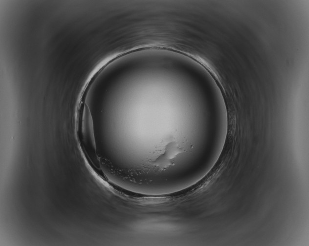 X0000086731151200704131101