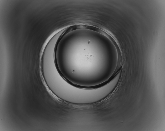X0000086731152200704131101
