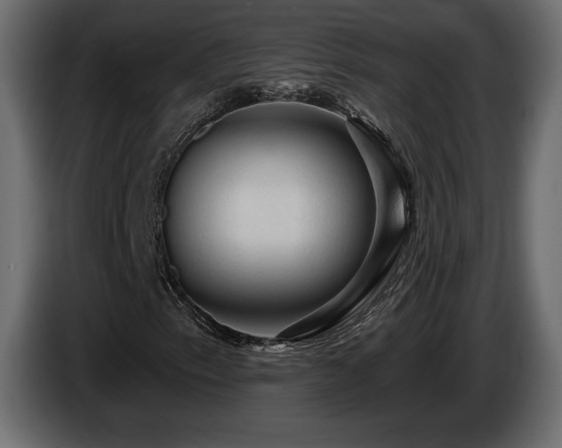 X0000086731153200704131100