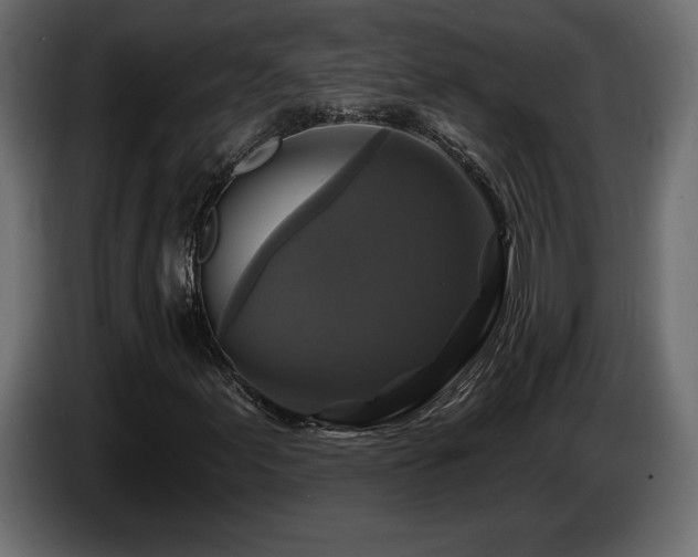X0000086731155200704131100