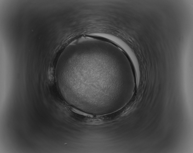 X0000086731156200704131100