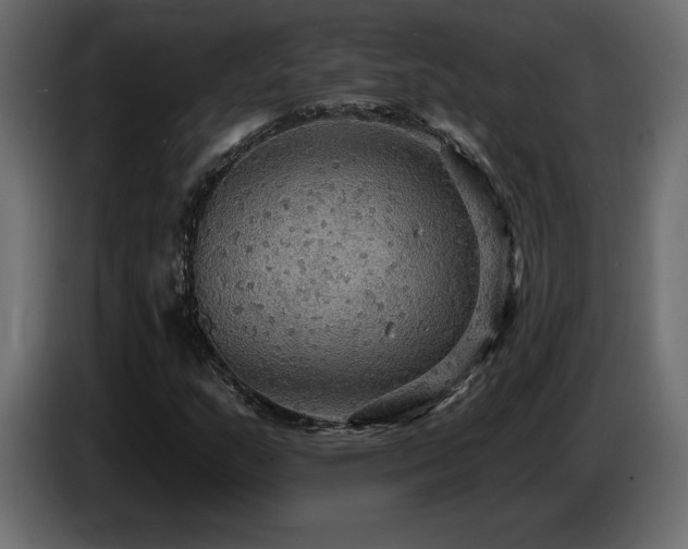 X0000086731159200704131100