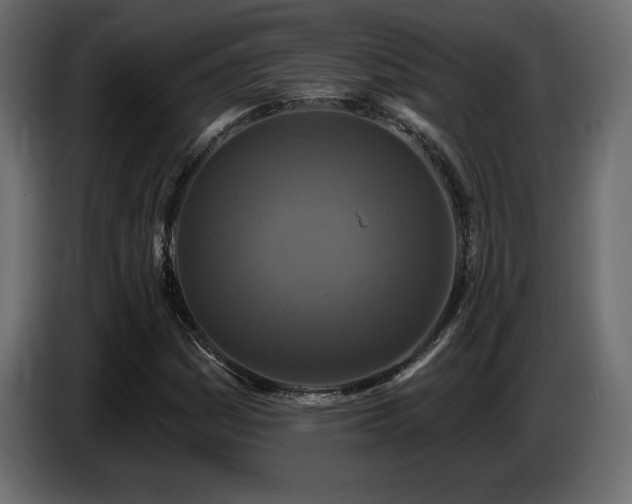 X0000086731161200704131100