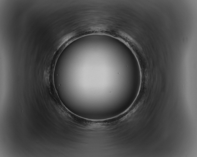 X0000086731162200704131100