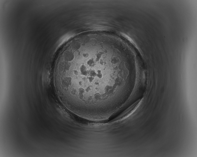 X0000086731163200704131100