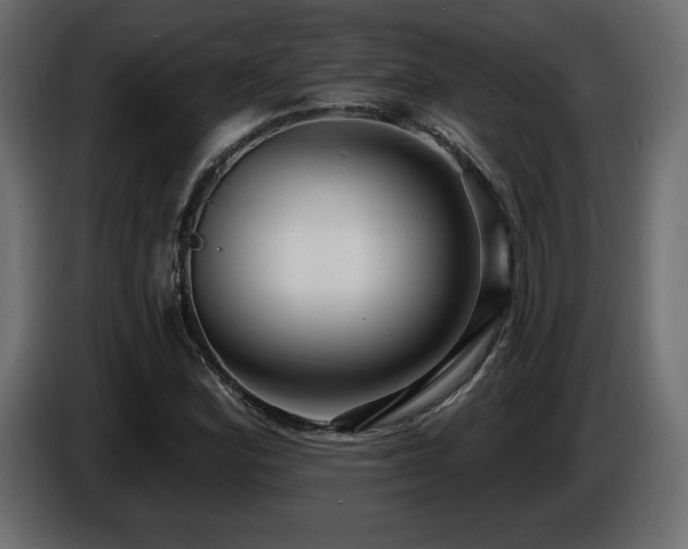 X0000086731164200704131100