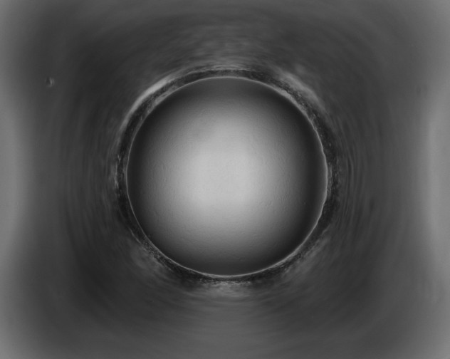 X0000086731166200704131100