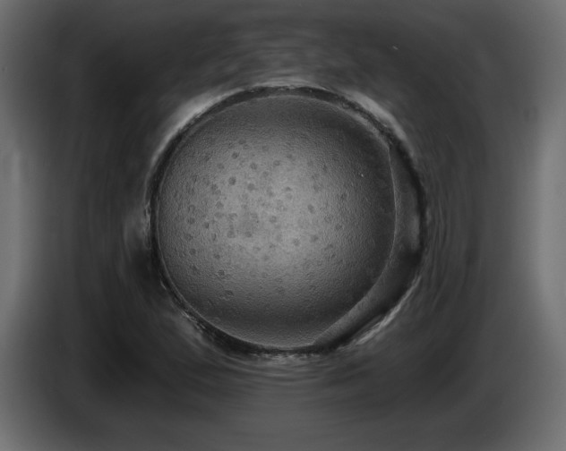 X0000086731167200704131100