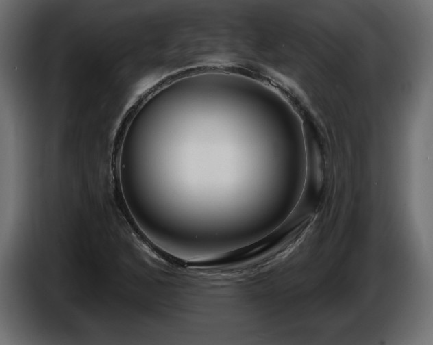 X0000086731168200704131100