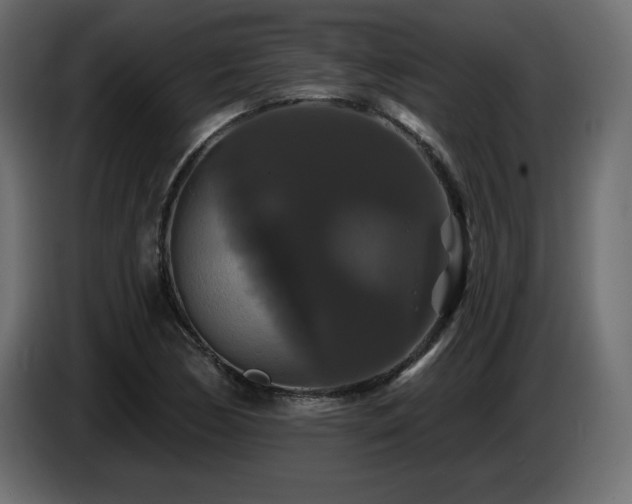 X0000086731170200704131100