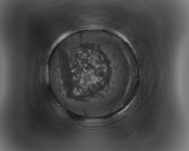 X0000086731171200704131100