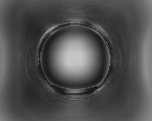 X0000086731172200704131100