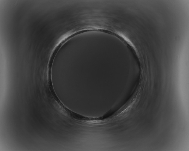 X0000086731173200704131100