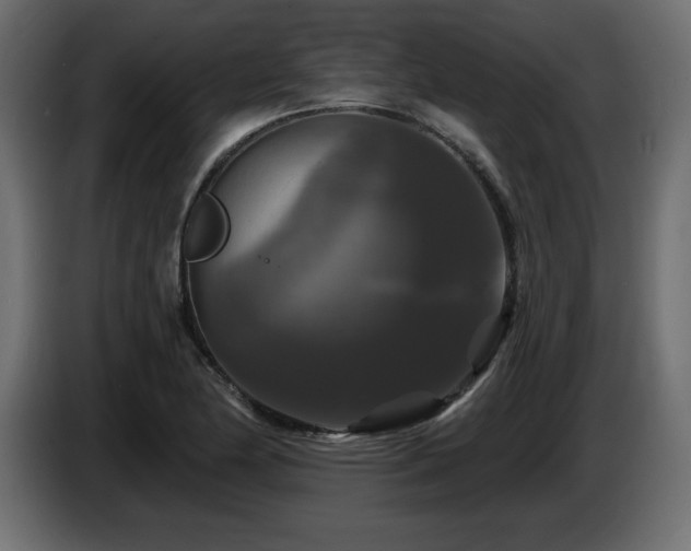 X0000086731174200704131100