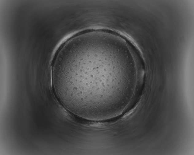 X0000086731175200704131100