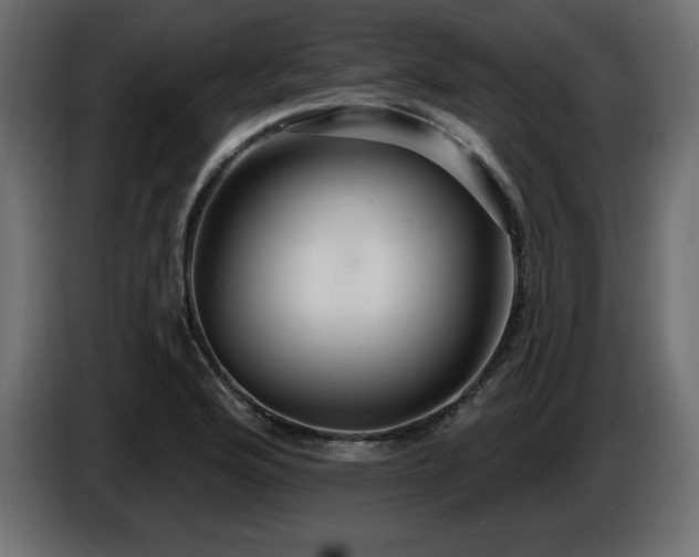 X0000086731176200704131100