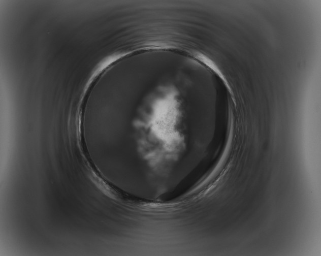 X0000086731179200704131100