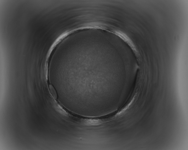 X0000086731180200704131100