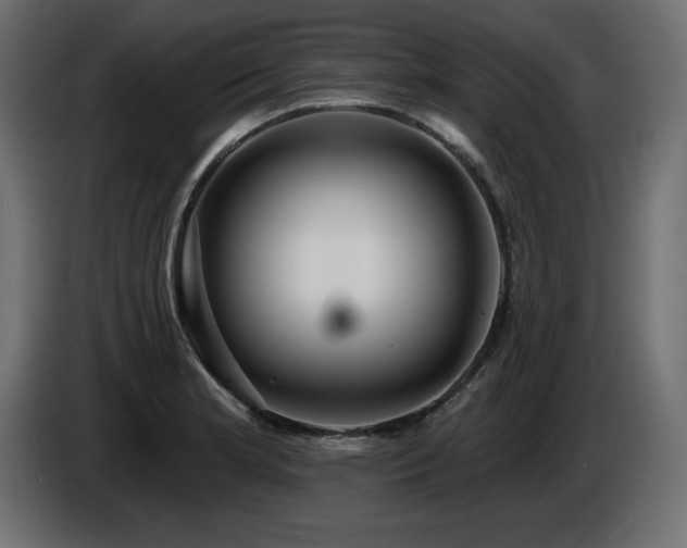 X0000086731181200704131100