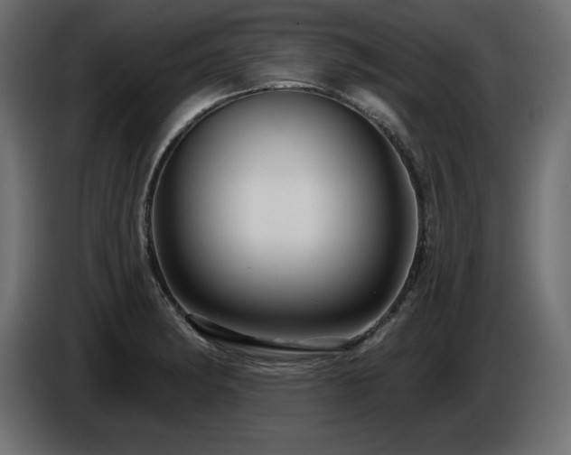 X0000086731182200704131100