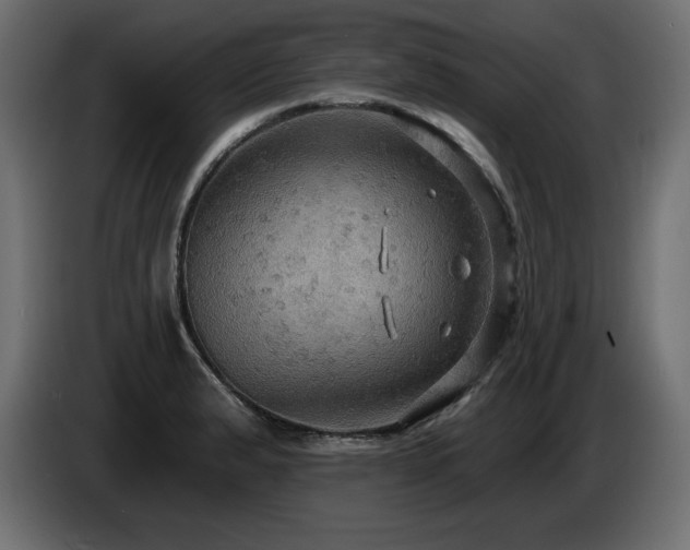 X0000086731183200704131100
