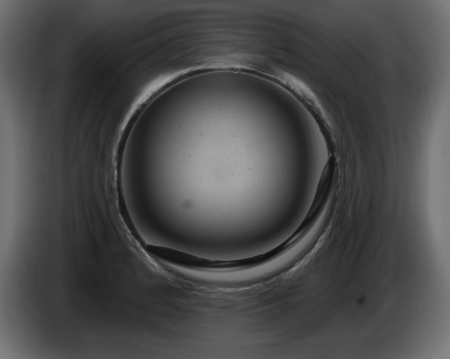 X0000086731184200704131100