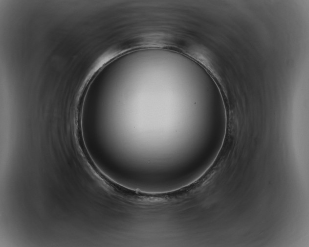 X0000086731187200704131100