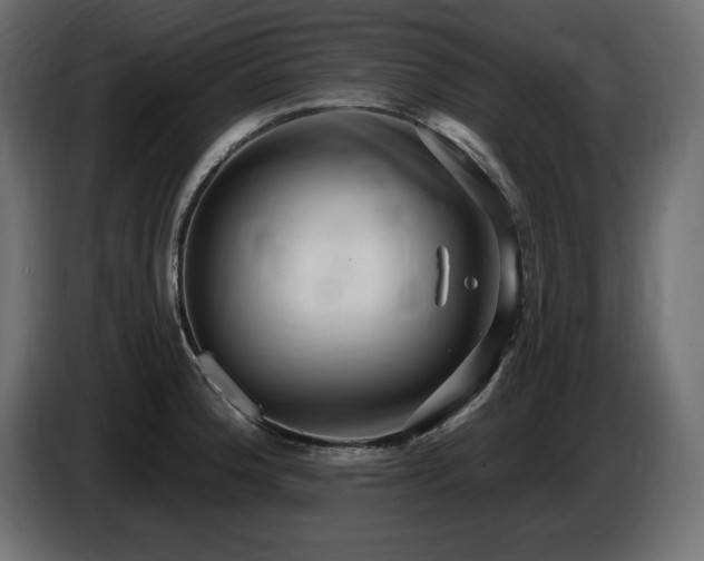 X0000086731188200704131100