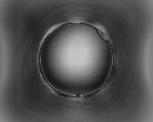 X0000086731191200704131059