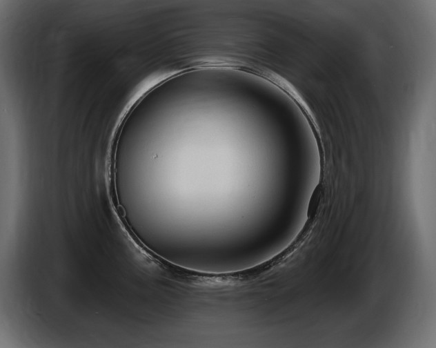 X0000086731195200704131059