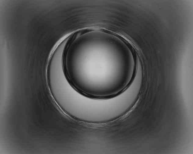 X0000086731196200704131059