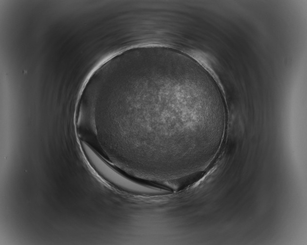 X0000086731197200704131059