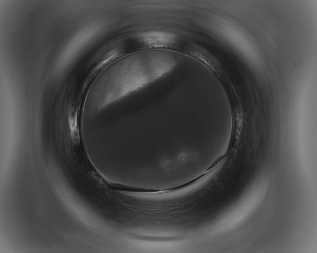X0000086731198200704131059