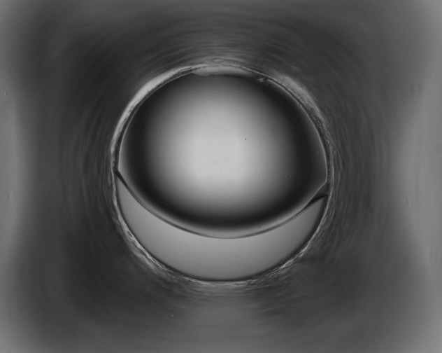 X0000086731200200704131059