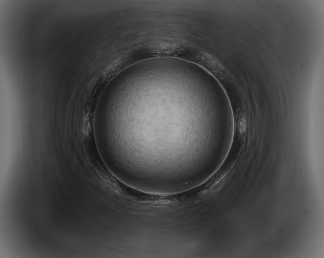X0000086731204200704131059