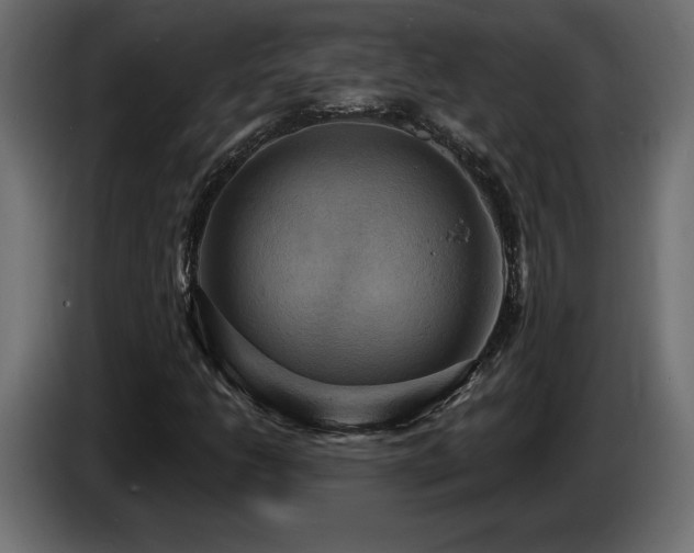 X0000086731206200704131059
