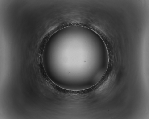 X0000086731207200704131059