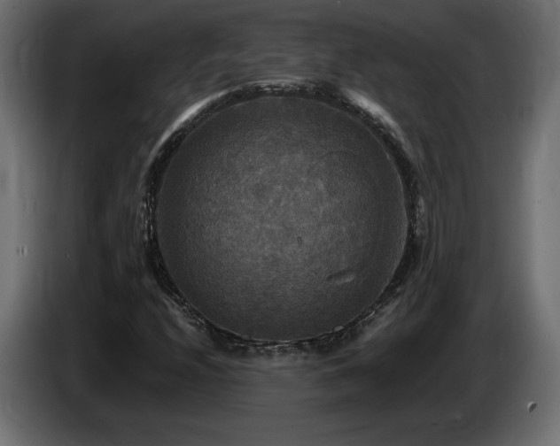 X0000086731208200704131059
