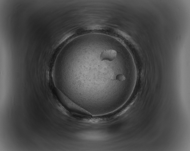 X0000086731209200704131059