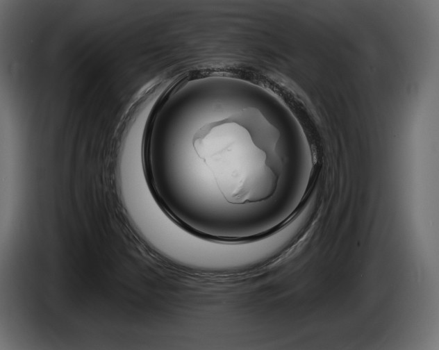 X0000086731210200704131059