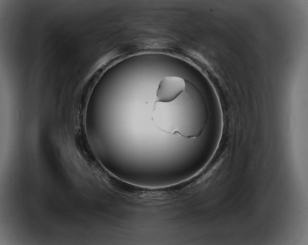 X0000086731211200704131059