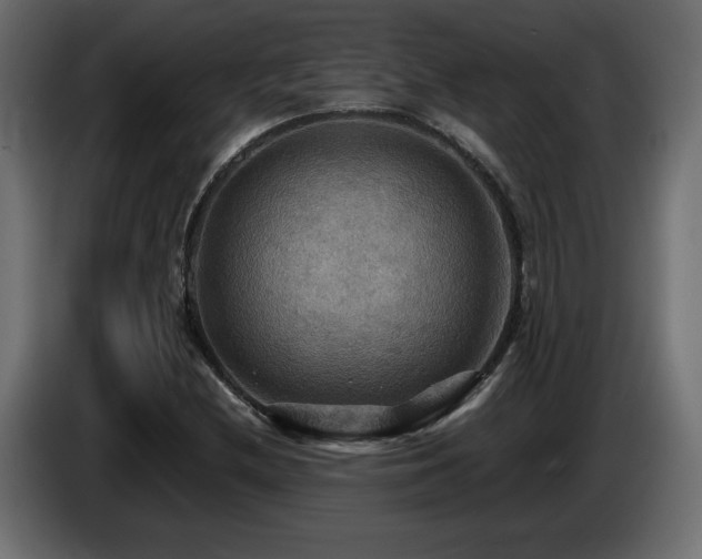 X0000086731212200704131059