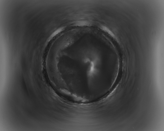 X0000086731213200704131059