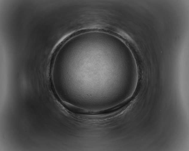X0000086731216200704131059