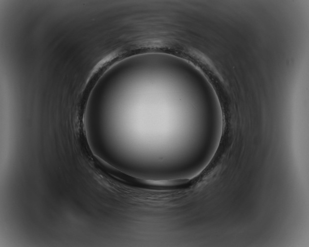X0000086731218200704131059