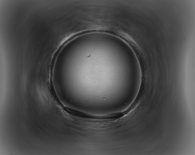 X0000086731220200704131059