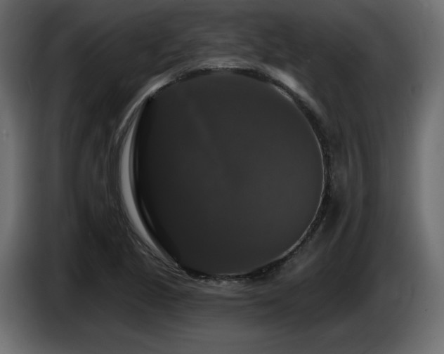 X0000086731221200704131059