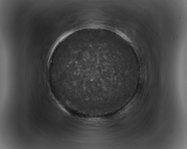 X0000086731223200704131059