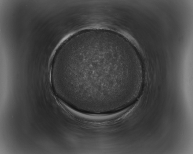 X0000086731224200704131059