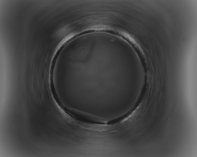 X0000086731229200704131059